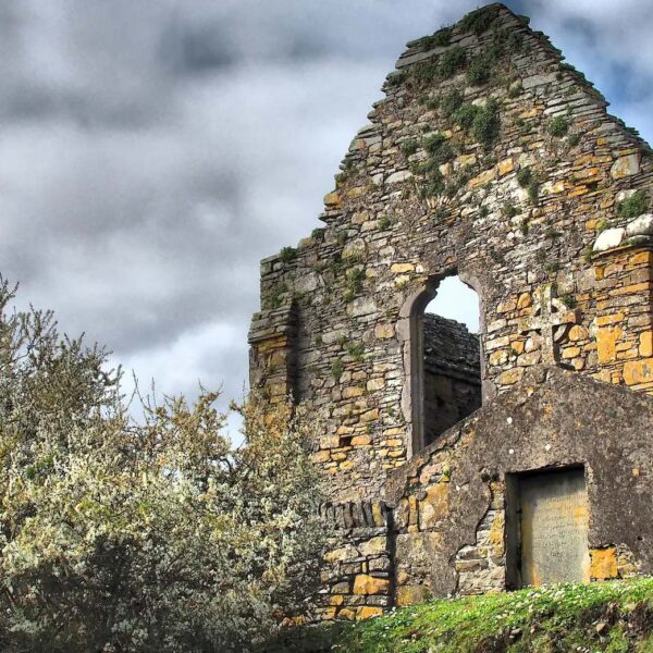 Take the boat to Scattery Island and visit the highest round tower in Ireland.